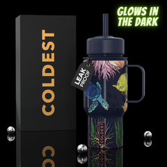 COLDEST 6.7oz Bottle – Compact Insulated Water Bottle for Everyday Hydration